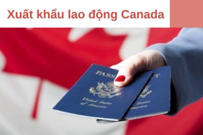 Xuất Khẩu Lao Động Canada 2024: Chi phí, Thủ tục, Mức lương