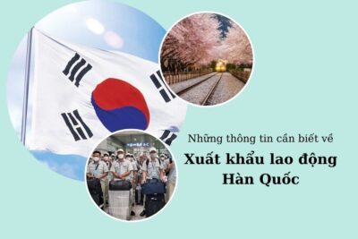 Xuất Khẩu Lao Động Hàn Quốc 2024: Mức Lương, Chi Phí, Thủ Tục