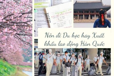 [Giải Đáp] Nên đi du học hay xuất khẩu lao động Hàn Quốc?