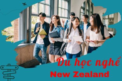 Du học nghề New Zealand 2024: Điều kiện, chi phí và lộ trình