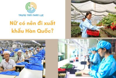 [Tư Vấn] Nữ Có Nên Đi Xuất Khẩu Hàn Quốc Không?