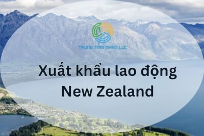 Xuất Khẩu Lao Động New Zealand 2024: Chi Phí, Điều Kiện, Mức Lương