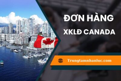 Top 6 đơn hàng XKLĐ Canada mới nhất 2024