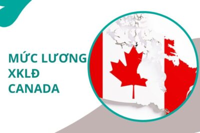 Lương XKLĐ Canada Là Bao Nhiêu? Nên Chọn Nghề Nào?