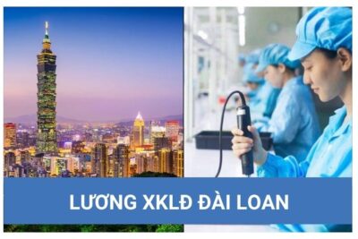 Mức Lương XKLĐ Đài Loan Năm 2024 Là Bao Nhiêu?