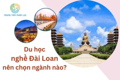 Du Học Nghề Đài Loan Nên Chọn Ngành Nào Dễ Kiếm Việc Làm?