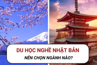 Du Học Nghề Nhật Bản Nên Chọn Ngành Nào Tiềm Năng?