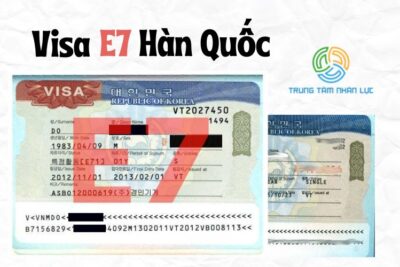 Visa E7 Hàn Quốc Là Gì? Tất Tần Tật Thông Tin Về Visa E7