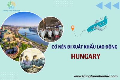 Xuất Khẩu Lao Động Hungary: Điều kiện, Chi phí, Mức lương