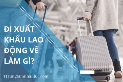 Đi Xuất Khẩu Lao Động Về Làm Gì?