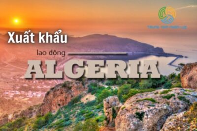 Xuất Khẩu Lao Động Algeria: Điều Kiện, Chi Phí Và Mức Lương