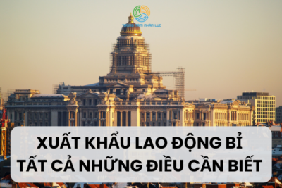 Xuất Khẩu Lao Động Bỉ: Điều Kiện, Chi Phí, Quy Trình