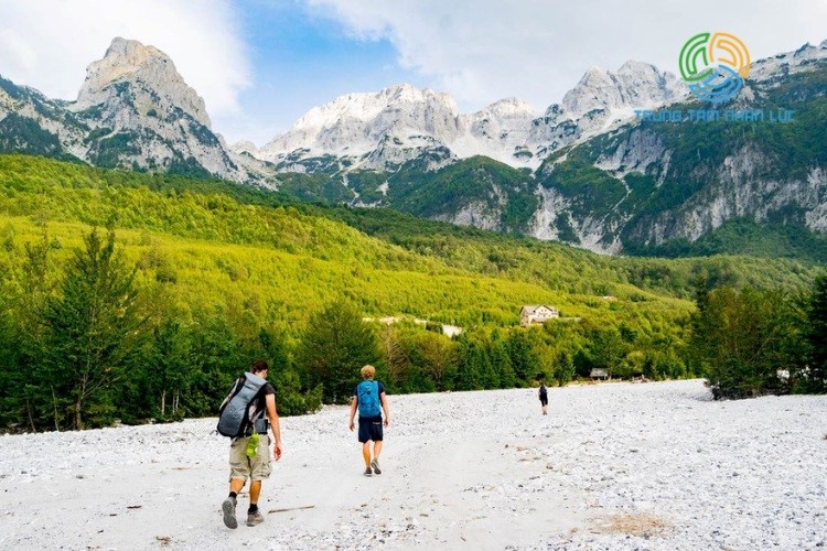 xuat khau lao dong albania