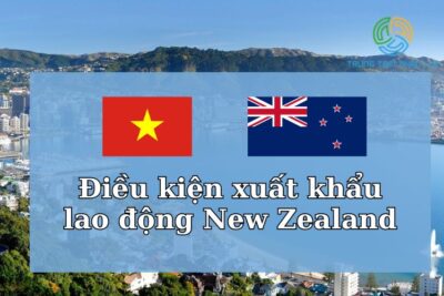 Tổng Hợp Điều Kiện Xuất Khẩu Lao Động New Zealand Mà Bạn Nên Biết