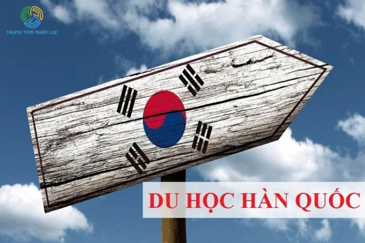 con gai nen du hoc nganh gi o han quoc
