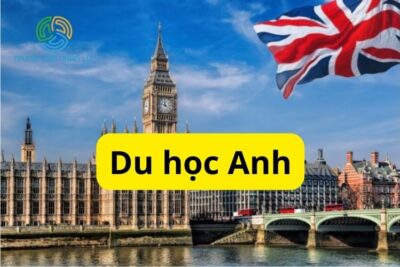 Du Học Anh: Điều Kiện, Hồ Sơ, Quy Trình, Chi Phí 