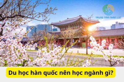 Du Học Hàn Quốc Nên Học Ngành Gì? Top 8 Ngành Tốt Nhất