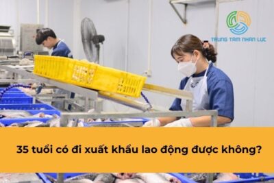 45 Tuổi Có Đi Xuất Khẩu Lao Động Được Không?