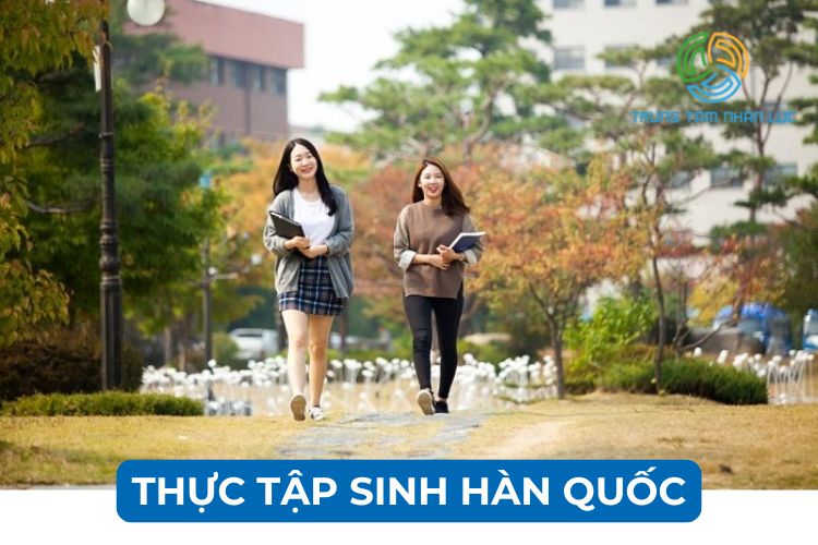 thuc tap sinh han quoc