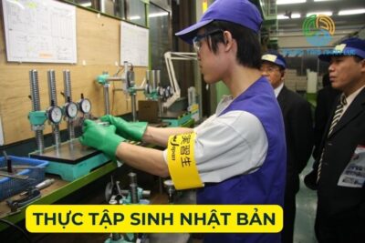 Thực Tập Sinh Nhật Bản: Thông Tin Cần Biết Từ A-Z