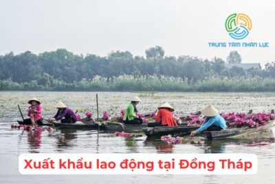 Công Ty Xuất Khẩu Lao Động Tại Đồng Tháp Uy Tín Giá Rẻ