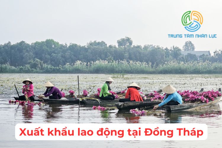 xuat khau lao dong tai dong thap