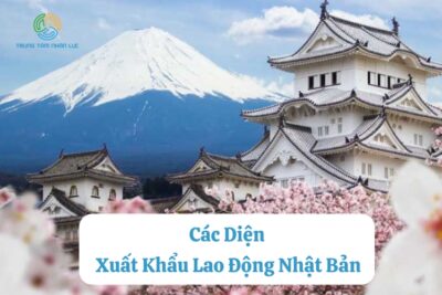 Các Diện Xuất Khẩu Lao Động Nhật: Nên Chọn Loại Hình Nào Phù Hợp?